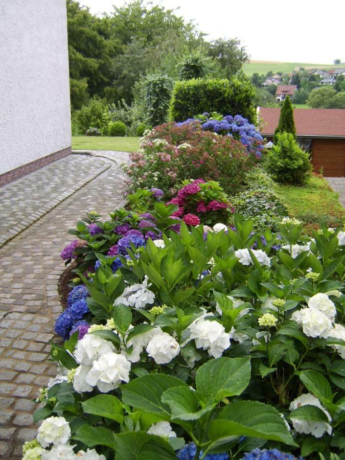 Ferienwohnung "Am Fuchsgraben" Tholey Exteriér fotografie
